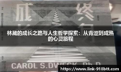 918博天堂
